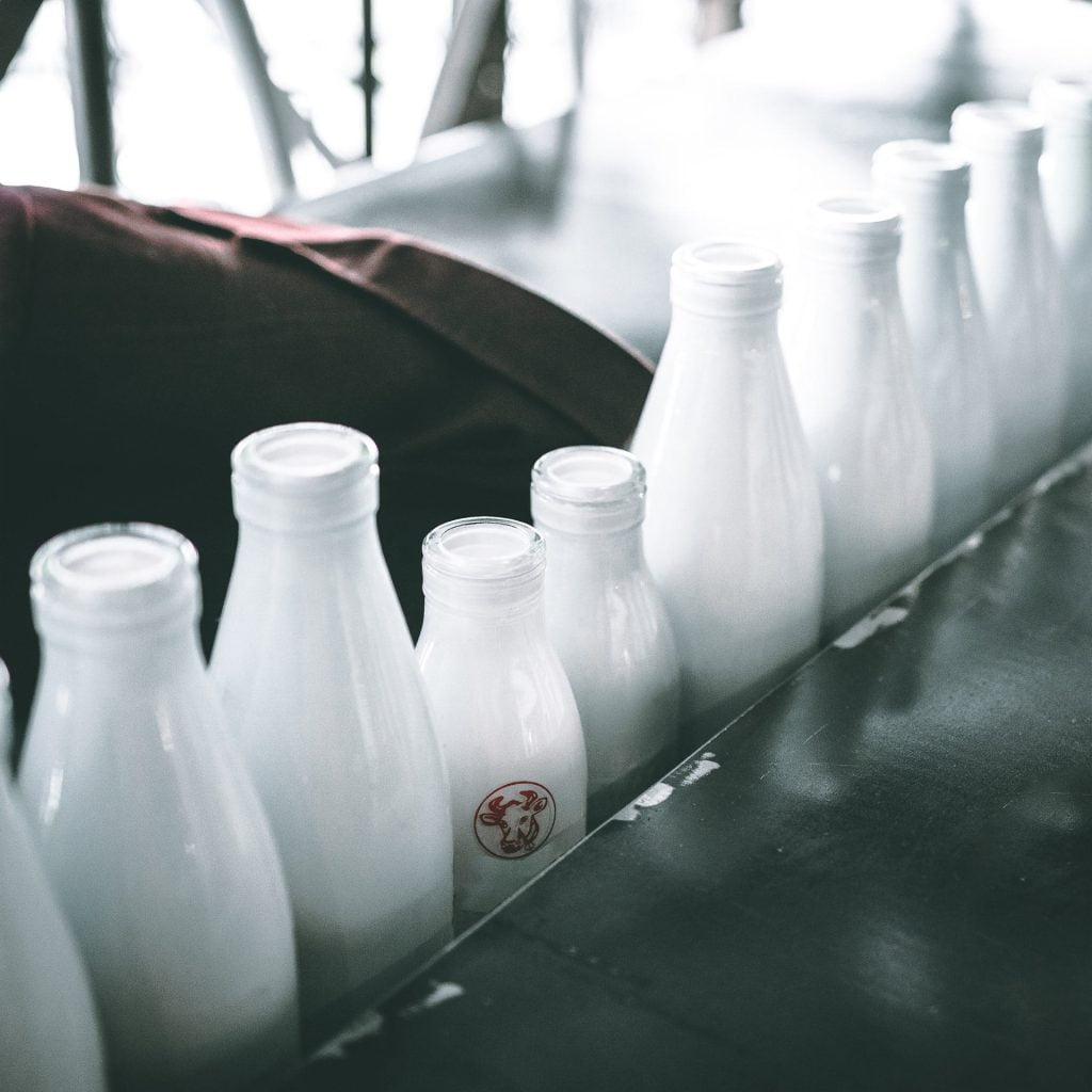 bottles in a milk factory